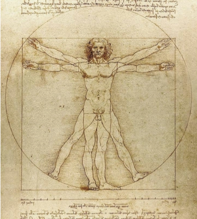 Tegning av menneske Leonardo Da Vinci